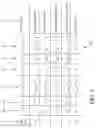 Fig. 06 - Method of operand width reduction to enable usage of narrower saturation adder