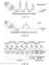 Fig. 08 - Semiconductor integrated circuit device