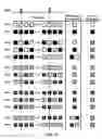 Fig. 22 - Optical content modulation for visual copyright protection