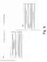 Fig. 07 - Story tracking for fixed layout markup documents