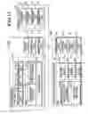 Fig. 12 - Recording medium for storing print document registration program and print document registration method