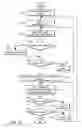 Fig. 14 - Avoiding disorientation under discontinuous navigation in an image flipping system