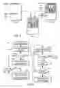 Fig. 05 - Compensating for cognitive load in jumping back