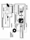 Fig. 19 - DEVICES AND METHODS FOR CONTROLLING MEDIA EVENT