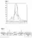 Fig. 02 - Method and apparatus for comparing semiconductor-related technical systems characterized by statistical data