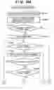 Fig. 13 - Execution apparatus and method