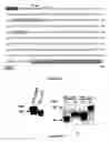 Fig. 02 - Method of promoting delivery of an antioxidant agent to a cell expression neuroligin