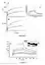 Fig. 05 - Method of promoting delivery of an antioxidant agent to a cell expression neuroligin