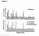 Fig. 05 - TAT-031 and methods of assessing and treating cancer