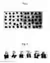 Fig. 03 - Screening method for selecting plants that show reduced wound-induced surface discolouration and plant and plant parts thus obtained