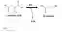 Fig. 02 - Increased stress tolerance and enhanced yield in plants