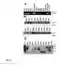 Fig. 08 - Increased stress tolerance and enhanced yield in plants