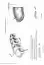 Fig. 02 - Toe and foot slip on protectors