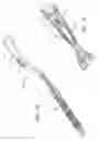 Fig. 17 - Flexible Cleaning Tool With Replaceable Non-woven Pad and Cleaning Fluid Reservoir