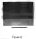 Fig. 05 - Insulated motor core and method for producing same