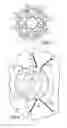 Fig. 03 - Method for producing a winding support for an electrical machine