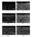 Fig. 02 - Nonazeotropic terpineol-based spray suspensions for the deposition of electrolytes and electrodes and electrochemical cells including the same