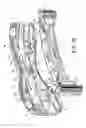 Fig. 09 - Razor having two slideable shaving heads