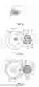 Fig. 06 - Mechanism for can opener