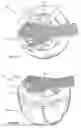 Fig. 13 - Food processing device