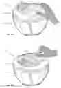 Fig. 19 - Food processing device