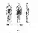 Fig. 05 - Rear balance walking shoes