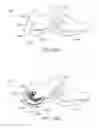Fig. 43 - Intelligent footwear systems