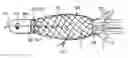 Fig. 01 - Lure and bait system
