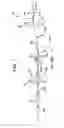 Fig. 02 - Apparatus and method for forming inflated articles