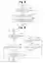 Fig. 07 - Exhaust purifying apparatus for internal combustion engine