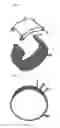 Fig. 03 - Ring with health promoting capability