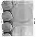 Fig. 10 - Work roll scraper for roller levelers