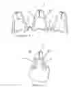 Fig. 03 - Backlash-compensating toothed moving part, gear assembly and use of this gear assembly