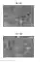 Fig. 08 - COPPER NANO-PARTICLES, METHOD OF PREPARING THE SAME, AND METHOD OF FORMING COPPER COATING FILM USING THE SAME