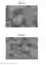 Fig. 09 - COPPER NANO-PARTICLES, METHOD OF PREPARING THE SAME, AND METHOD OF FORMING COPPER COATING FILM USING THE SAME