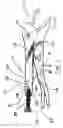 Fig. 02 - Toggle-locking tool