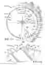 Fig. 08 - Variable tooth saw blade