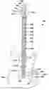 Fig. 01 - Enhanced knob for use with an electric stringed musical instrument