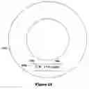 Fig. 17 - Enhanced knob for use with an electric stringed musical instrument