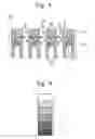 Fig. 06 - Chemical filter unit