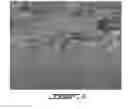 Fig. 04 - SOLVENT RESISTANT ASYMMETRIC INTEGRALLY SKINNED MEMBRANES