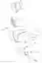 Fig. 01 - Kitchen hand tool