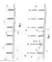 Fig. 02 - Composite strip windable to form a helical pipe and method therefor