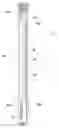 Fig. 08 - Self-expandable cylinder in a downhole tool