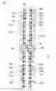 Fig. 04 - Roller conveyor