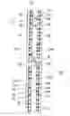 Fig. 03 - Roller conveyor