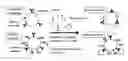Fig. 01 - Affinity particle and affinity separation method
