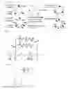 Fig. 02 - Affinity particle and affinity separation method