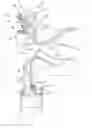 Fig. 01 - Two-component spray gun with solvent flush/blend