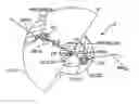 Fig. 01 - Method and a device for assisting the piloting of a rotary wing aircraft in the vicinity of a landing or takeoff point